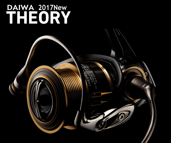 Daiwa 17 Theory 2004