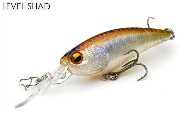 Raid Japan Level Shad