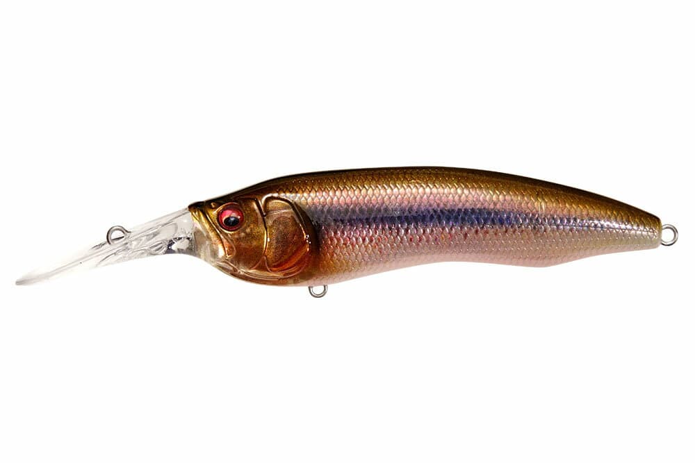 Megabass Bass Lure Live-X Model 1 FA Dark chub