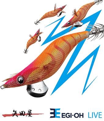Yamashita Egi King LIVE 3.0