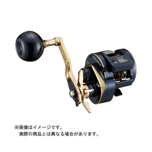 Daiwa 21 Saltiga IC 300