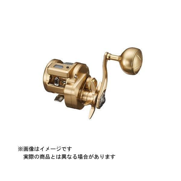 Daiwa 21 Basara IC 250PL